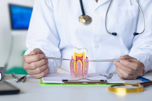 Best Emergency Care for Gum Disease in Rainier, WA